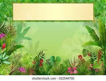 Tropical background with rectangle floral frame in concept bamboo.Vector
