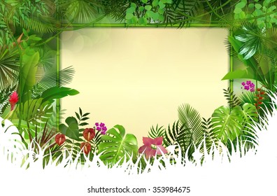 Tropical background with rectangle floral frame in concept bamboo.vector