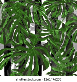 Tropical Background. Repeat Illustration. Exotic Palm Greenery Backdrop. Summer Design for Swimwear. Tropical Flowers and Leaves Background.