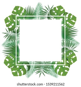 tropical background, square frame, floral logo