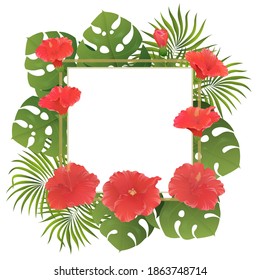 tropical background, square frame, floral logo, frame border.