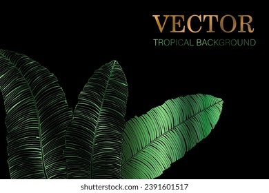 tropical background - the style of Jungalow and Hawaii. Luxury vector botanical wallpaper with green banana leaves on black background