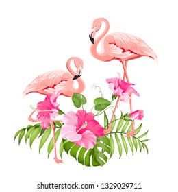 The tropical background. Summer illustration with bouquet of green palm leaves and red hibiscus flowers. Illustration with colorful flamingo on white background. Vector illustration.