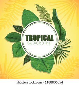 Tropical Background Template