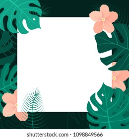 Tropical background with white frame. Summer banner vector illustration.