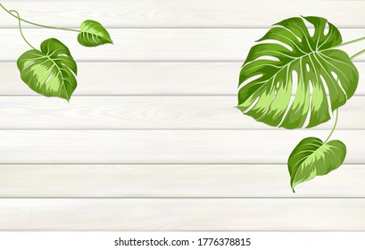 Fondo tropical para tu diseño. Hojas de monstera sobre fondo de madera con espacio vacío