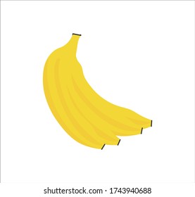 tropical banana fruit. illustration for web and mobile design.