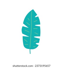 Tropical banana leaf on white background