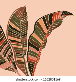 Tropical banana leaves leaves in a minimalist trendy style. Silhouette of a plant in a contemporary simple style. Vector illustration collage. For t-Shirt Print, card, poster, social media post