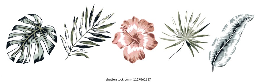 Tropische Banane, Monstera-Palmenblätter, Hibiskus-Blume einzeln auf weißem Hintergrund.Designelemente. Grünpflanze Vektorgrafik. Blumendesign für den Sommer am Strand. Paradies Natur.