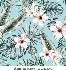 Tropical banana, monstera palm leaves, white hibiscus flowers, light blue background. Vector seamless pattern. Jungle foliage illustration. Exotic plants. Summer beach floral design. Paradise nature