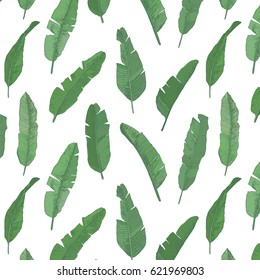 tropical banana palm leaves hand drawn vector pattern