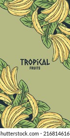 Tropical banana summer fruit poster with palm leaves