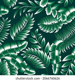tropical bananas palm leaves seamless pattern plant with isolated color monochromatic style. Decorative background vector design. Exotic jungle plants illustration pattern. summer