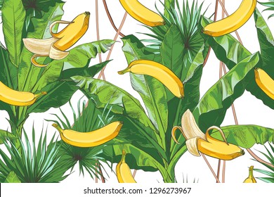 Tropical bananas palm trees with growing bunch, leaf, fruits, ripe cluster peeled, foliage textural seamless pattern. Nature background. Vector vintage design 