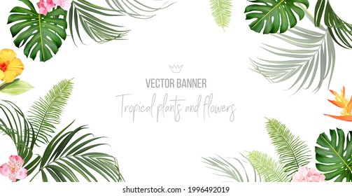 Tropical banner arranged from exotic emerald leaves and exotic flowers. Paradise plants, greenery and palm card. Stylish fashion frame. Wedding design. All leaves are not cut. Isolated and editable