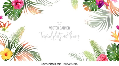 Tropical banner arranged from exotic emerald leaves and exotic flowers. Paradise plants, greenery and palm card. Stylish fashion frame. Wedding design. All leaves are not cut. Isolated and editable