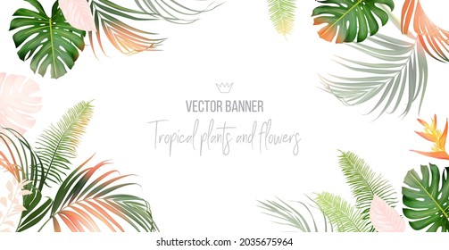 Banner tropical dispuesto partir