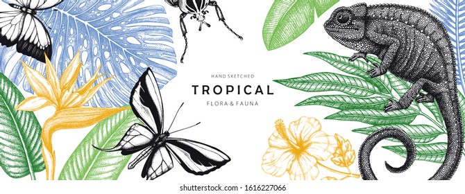 Tropical banner design. Vector frame with hand drawn tropical plants, exotic flowers, palm leaves, insects and chameleon. Vintage wildlife background. Summer template with tropical plants and animals.