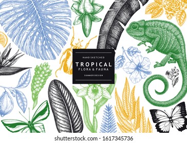 Tropical banner design. Vector frame with hand drawn tropical plants, exotic flowers, palm leaves, insects and chameleon. Vintage wildlife background. Summer template with exotic plants and animals.
