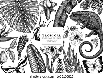 Tropical banner design. Vector frame with hand drawn tropical plants, exotic flowers, palm leaves, insect and chameleon. Vintage jungle background. Summer beach template for invitation, banner, flyer