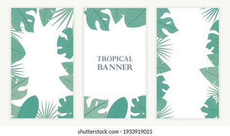 Tropical banner with palm, monstera, banana leaves. Glass morphism style banner. Applicable for social media stories. Tropical leaf element. Exotic or jungle leaf. Vector illustration