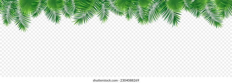 Tropical banner seamless vector illustration. jungle plants, palms leaves repeated background. Green foliage template pattern. Repeated texture. tropic design for summer, travel, vacation cards