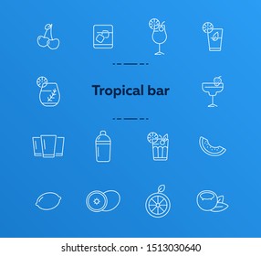 Tropical bar icons. Set of line icons. Cherries, lemon. Beverage concept. Vector illustration can be used for topics like advertising, business