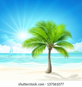 Tropical beach