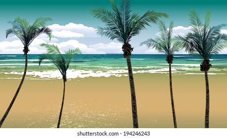 Tropical beach