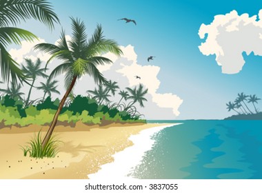 Tropical beach