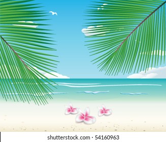 Tropical beach