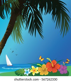 tropical beach
