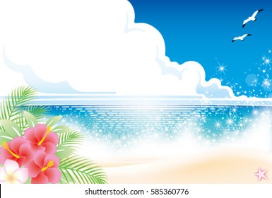 tropical beach