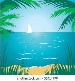 tropical beach background