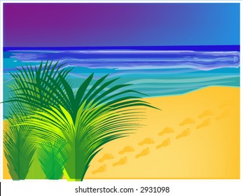 tropical beach background, also available as an illustration