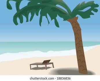 tropical beach with palm tree