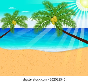 Tropical beach with Palm Trees 