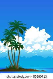 Tropical beach with palm trees