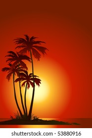 Tropical beach with palm trees