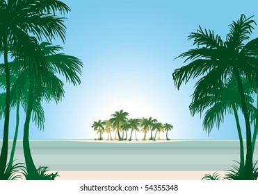 Tropical beach with palm trees