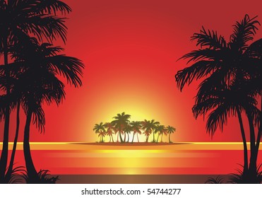 Tropical beach with palm trees