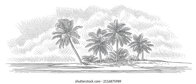 Playa tropical con palmeras que adornan ilustraciones de estilo vintage. Vector. 