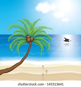 Tropical beach with palm trees and sun vector