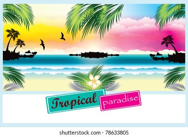 Tropical beach  postcard