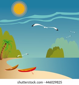 tropical beach    summer background