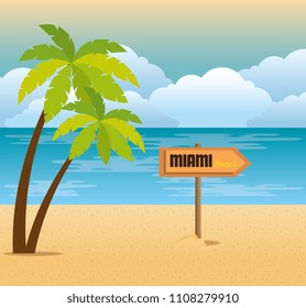 tropical beach summer scene