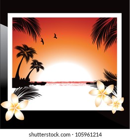 Tropical Beach Sunset