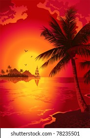 Tropical Beach At Sunset