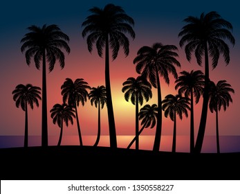 tropical beach sunset with coconut trees silhouette